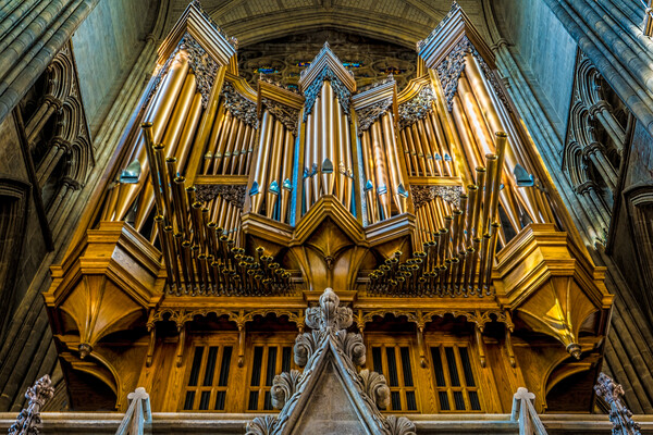 The Pipe Organ At Lancing College Picture Board by Chris Lord
