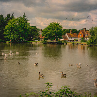 Buy canvas prints of Falmer Village Duck Pond by Chris Lord