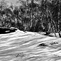 Buy canvas prints of Shadows in the Snow by Stuart Hough