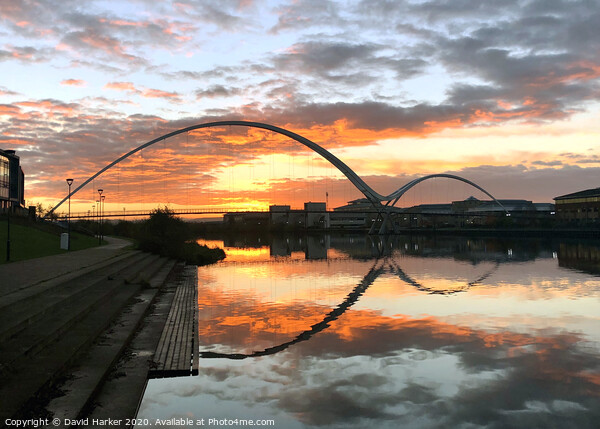 Infinity Bridge, Stockton on Tees, Sunrise Picture Board by David Harker