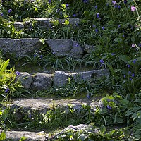 Buy canvas prints of Steps to tranquility by Karl Butler