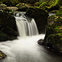 Buy canvas prints of  Aira Beck by Karl Butler