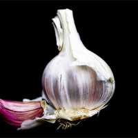 Buy canvas prints of Just Garlic by Lynne Morris (Lswpp)