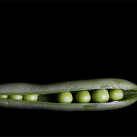 Buy canvas prints of Peas In A Pod by Lynne Morris (Lswpp)