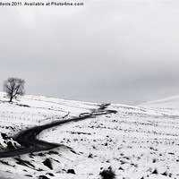 Buy canvas prints of A Wintery Road by Lynne Morris (Lswpp)