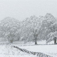 Buy canvas prints of Snow Scene by Lynne Morris (Lswpp)