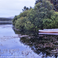 Buy canvas prints of Boats At Gladhouse by Lynne Morris (Lswpp)