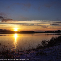 Buy canvas prints of Winter Sunset by Lynne Morris (Lswpp)