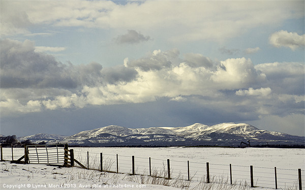 View To The Pentlands Framed Print by Lynne Morris (Lswpp)