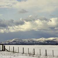 Buy canvas prints of View To The Pentlands by Lynne Morris (Lswpp)