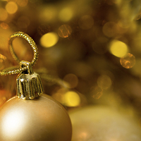 Buy canvas prints of Golden Baubles by Lynne Morris (Lswpp)