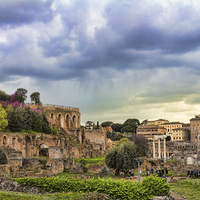 Buy canvas prints of The Roman Forum by Lynne Morris (Lswpp)
