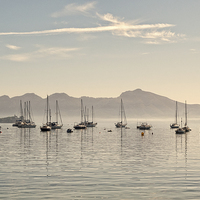 Buy canvas prints of  Boats In The Bay by Lynne Morris (Lswpp)