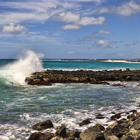 Buy canvas prints of  Hawaiian Splash by Lynne Morris (Lswpp)