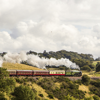 Buy canvas prints of  Just Steaming Along Nicely by Lynne Morris (Lswpp)