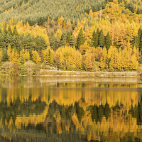 Buy canvas prints of  Reflections on Loch Lubnaig by Lynne Morris (Lswpp)