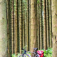 Buy canvas prints of Bike In The Woods by Lynne Morris (Lswpp)