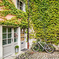 Buy canvas prints of Bike and Ivy by Lynne Morris (Lswpp)