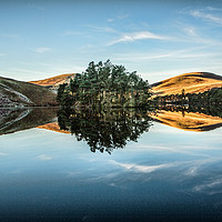 Buy canvas prints of Reflections by Lynne Morris (Lswpp)