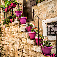 Buy canvas prints of Plant pots and Stairs by Lynne Morris (Lswpp)