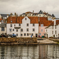 Buy canvas prints of Pittenweem Harbour by Lynne Morris (Lswpp)