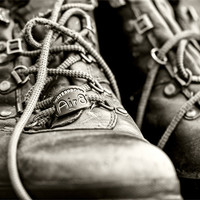 Buy canvas prints of Tough Old Boots by Lynne Morris (Lswpp)