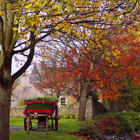 Buy canvas prints of Autumn In Falkland by Lynne Morris (Lswpp)