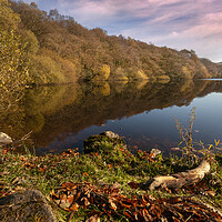 Buy canvas prints of Autumn on the lake by Eddie John