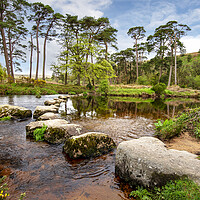 Buy canvas prints of sherberton stones Dartmoor national park by Eddie John