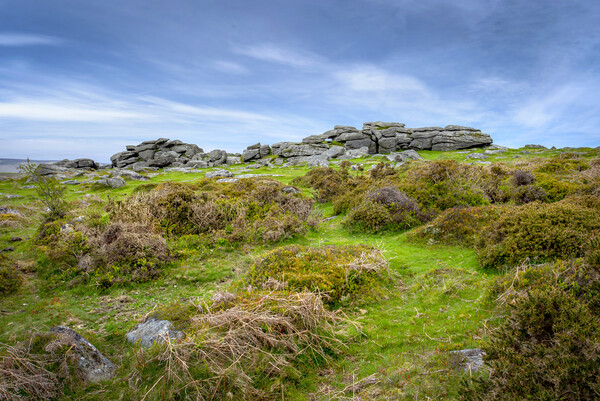 smallacoombe rocks near Haytor Dartmoor Picture Board by Eddie John