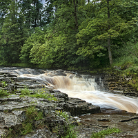 Buy canvas prints of Stainforth Force Yorkshire by Eddie John