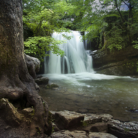 Buy canvas prints of Janets Foss - Yorkshire by Eddie John