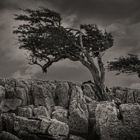 Buy canvas prints of The wildness of Yorkshire by Eddie John