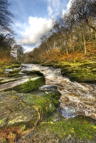 The Strid Wharfedale Picture Board by Eddie John