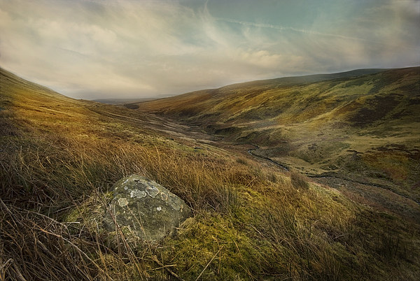 The Forest of Bowland Picture Board by Eddie John