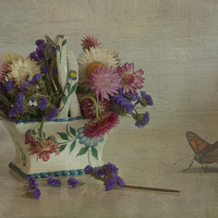 Buy canvas prints of Everlasting flowers in vase with butterfly by Eddie John