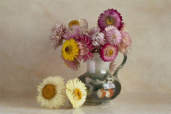  Everlasting flowers in vase  Picture Board by Eddie John