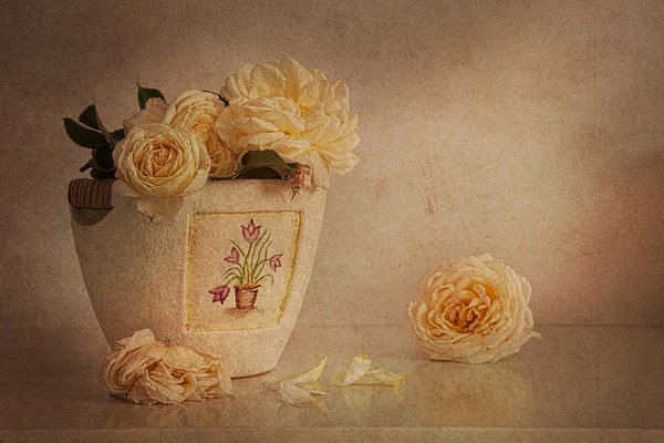 Cream roses in elegant vase  Picture Board by Eddie John