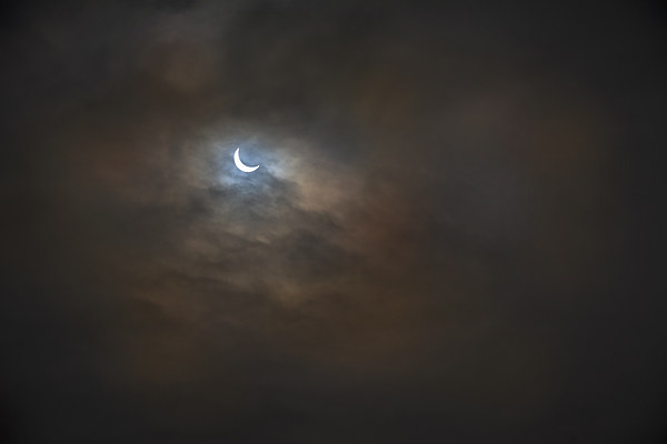  Todays Elclipse from Wilsthire Picture Board by Eddie John