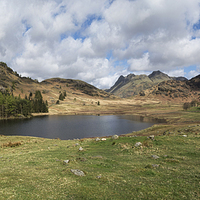 Buy canvas prints of  Blea Tarn Lake District panorama by Eddie John