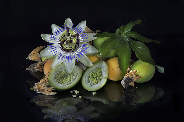 Passion flower and fruit Picture Board by Eddie John