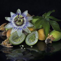 Buy canvas prints of Passion flower and fruit by Eddie John
