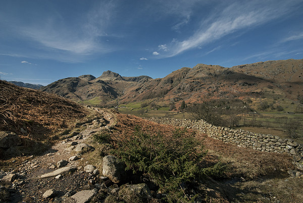  Langdale valley Cumbria Picture Board by Eddie John