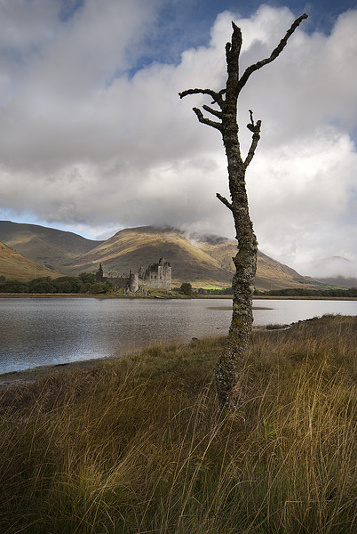 Kilchurn castle loch awe Scotland Picture Board by Eddie John