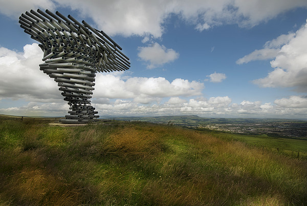 The singing ringing tree  Picture Board by Eddie John