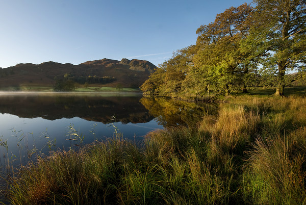 Rydal water cumbria  Picture Board by Eddie John