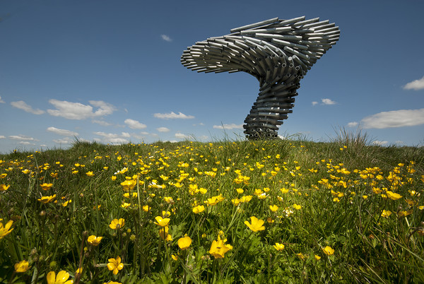The singing ringing tree Picture Board by Eddie John