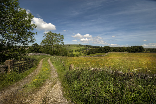 Wharfedale Yorkshire  Picture Board by Eddie John