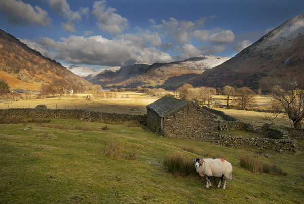 Hartsop valley Lake district Cumbria Picture Board by Eddie John