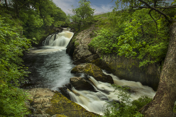 Beezley falls  - Yorkshire dales  Picture Board by Eddie John